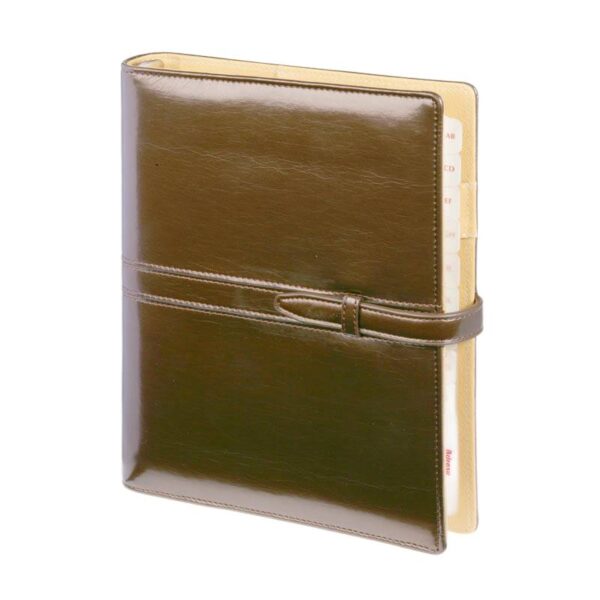Okładka Organizer Premium 08, kolekcja WB ORP-08WB/BR/P Drops Office Collection