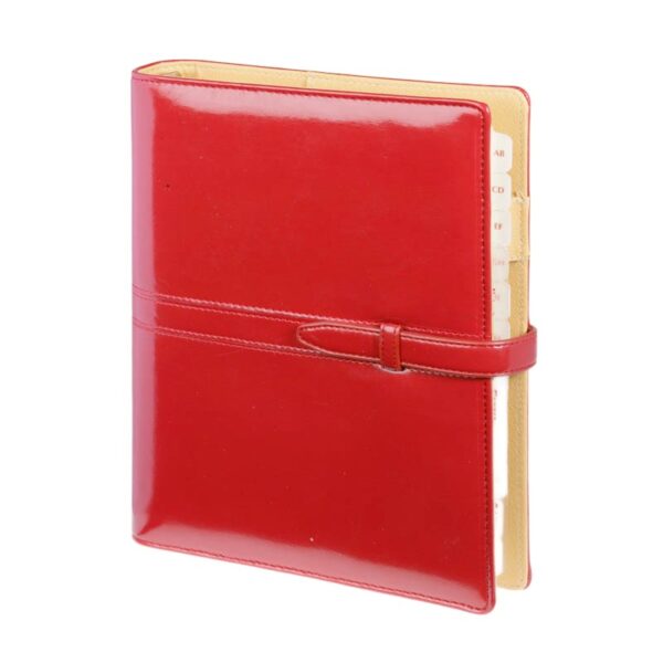 Okładka Organizer Premium 08, kolekcja WB ORP-08WB/CZER/P Drops Office Collection